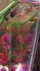 56ED169D-0ABD-4C66-BA46-8482500E83F6.jpeg
