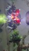 IMG_20190317_130933.jpg