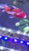 IMG_20190317_131248.jpg