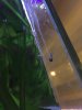 IMG-20190320-WA0006.jpg