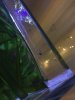 IMG-20190320-WA0005.jpg