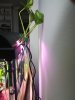 IMG_20190324_193633.jpg