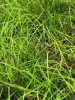 IMG_5718.jpeg
