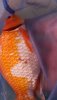 20190403_162114.jpg