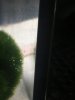 291BFA31-CC90-42B8-BB02-4DB20FFD66D7.jpeg