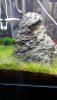 710FD477-88F7-486A-873C-ED157531C033.jpeg