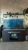 IMG-20190420-WA0009.jpg