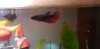 20190409_230227.jpg