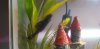 20190427_194052.jpg