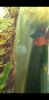 Screenshot_20190523-115717_Video Player.jpg