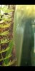 Screenshot_20190523-115704_Video Player.jpg