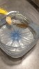 IMG-20190705-WA0010.jpg