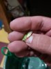 20190711_212200.jpg
