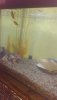 IMG-20190721-WA0008.jpeg