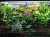 IMG-20190621-WA0006.jpg