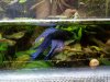 IMG-20190901-WA0004.jpg