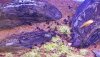 20190911_205901.jpg