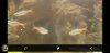Screenshot_20190912-183601_Video Player.jpg