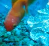 SmartSelect_20191014-201106_Video Player.jpg