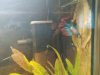 IMG_20191102_154125.jpg