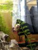 IMG-20191103-WA0010.jpg