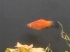 IMG-20191105-WA0027.jpg