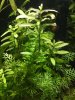 IMG-20191129-WA0007.jpg