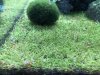 97EF08BA-2F68-48DB-A8EB-51ACC024B1F3.jpeg