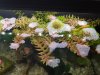 IMG-20191220-WA0000.jpg