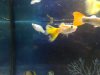IMG_20200112_210714.jpg