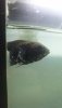 IMG-20200118-WA0014.jpeg