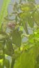 AB8D4E53-3C07-40DD-9AC2-39D54F7820E8.jpeg