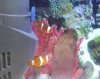 IMG_20200202_090830_910_1.jpg