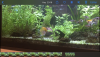 D8E790CE-DD58-456F-AE1E-9ACBDE7A270D.png