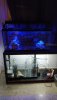 IMG-20200217-WA0018.jpeg