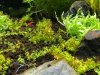 fotos acuario 2.jpg
