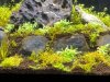 fotos acuario 3.jpg