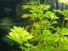 fotos acuario 4.jpg