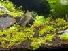 fotos acuario.jpg
