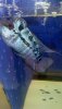 IMG-20200227-WA0034.jpeg