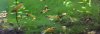C802CC3E-1695-458E-93E3-8C4A311CC283.jpeg