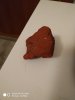 IMG_20200316_175137.jpg