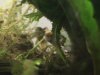 thumbnail_IMG_4342.jpg