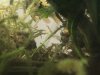 thumbnail_IMG_4344.jpg