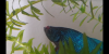 Screenshot_20200405-221851.png