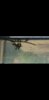 Screenshot_20200503_021448_com.huawei.himovie.overseas.jpg