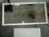 20200523_181117.jpg