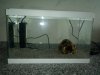 20200523_181157.jpg
