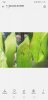 Screenshot_20200611_110539_com.android.gallery3d.jpg