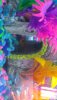 IMG-20200625-WA0013.jpeg